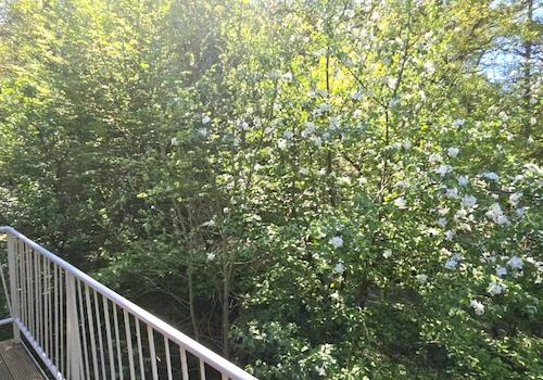Balkon Ausblick Eigentum ;-)