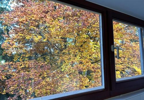 Ausblick Bad