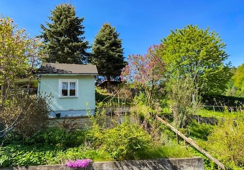 Blick aus DG in den Garten