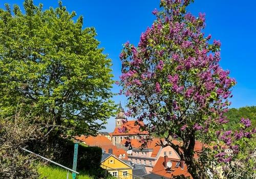 Blick vom Gartenhaus zur Stadt