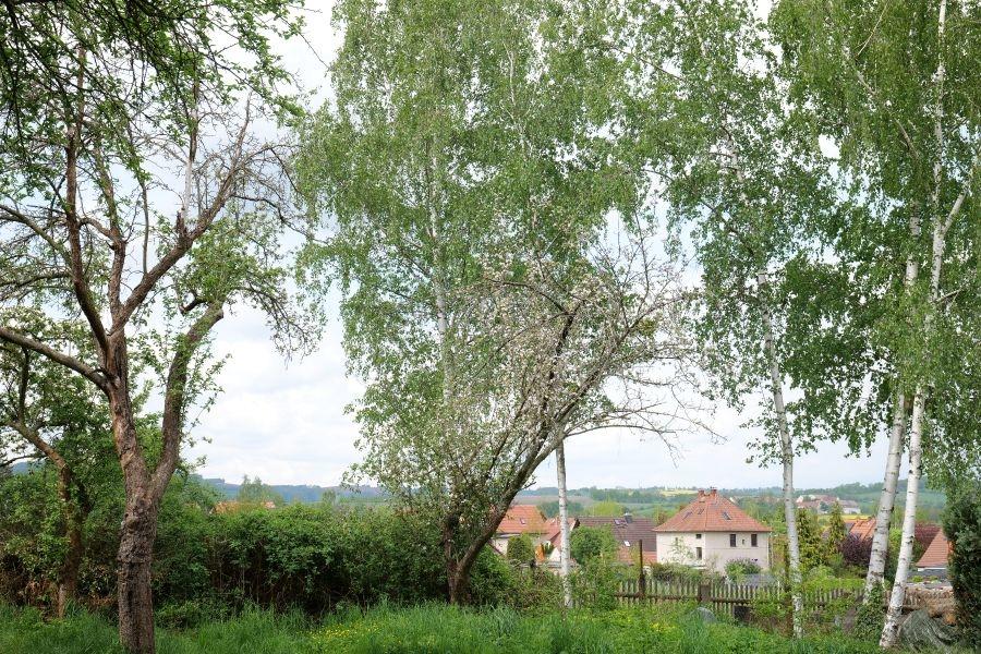 Garten-Ende-Aussicht