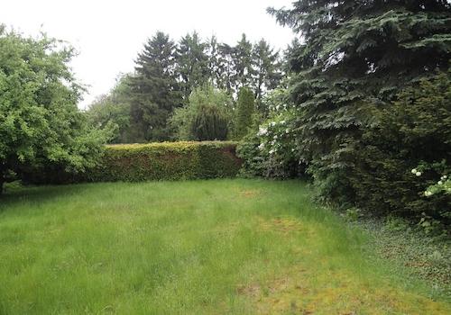 Garten event. Baugrund