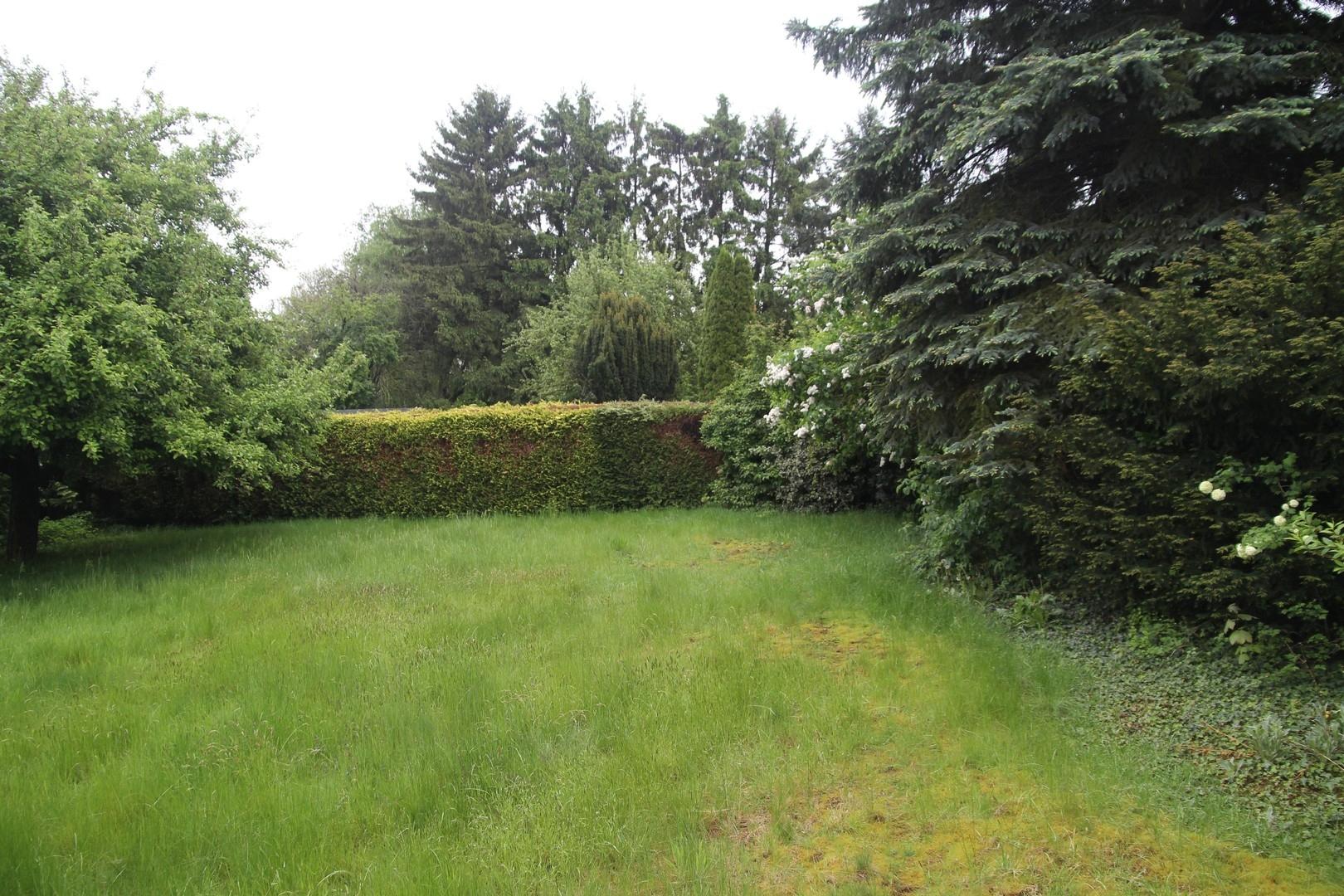 Garten event. Baugrund