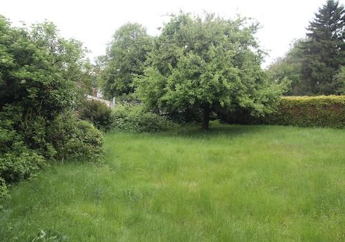 Garten event. Baugrund