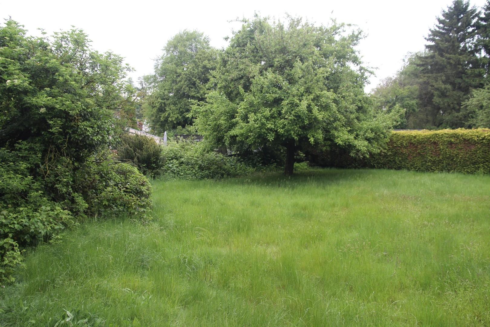 Garten event. Baugrund