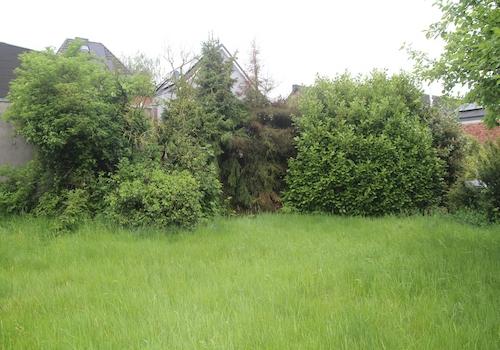Garten event. Baugrund