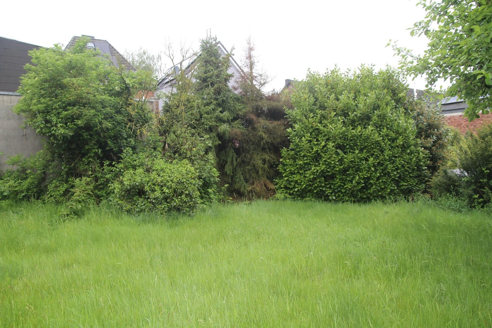 Garten event. Baugrund