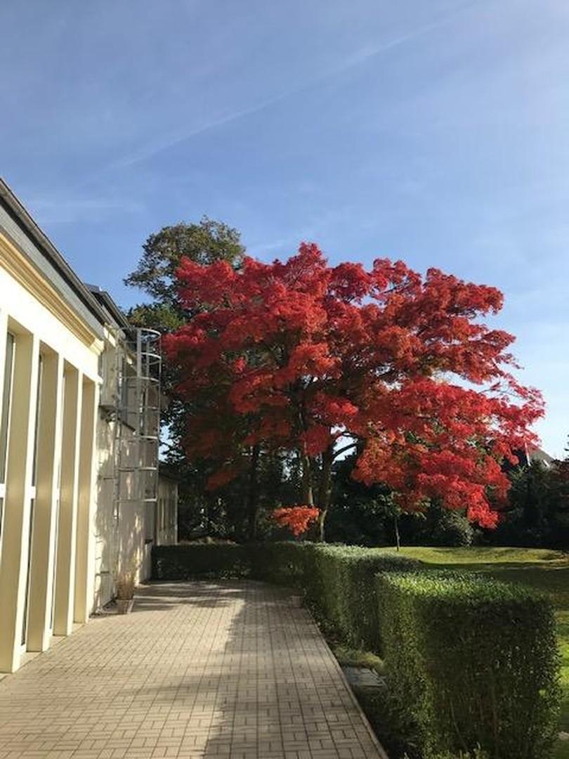 Halle_Ansicht Park