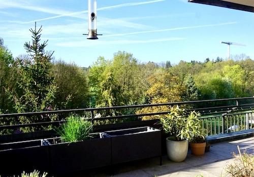 Terrasse Südseite