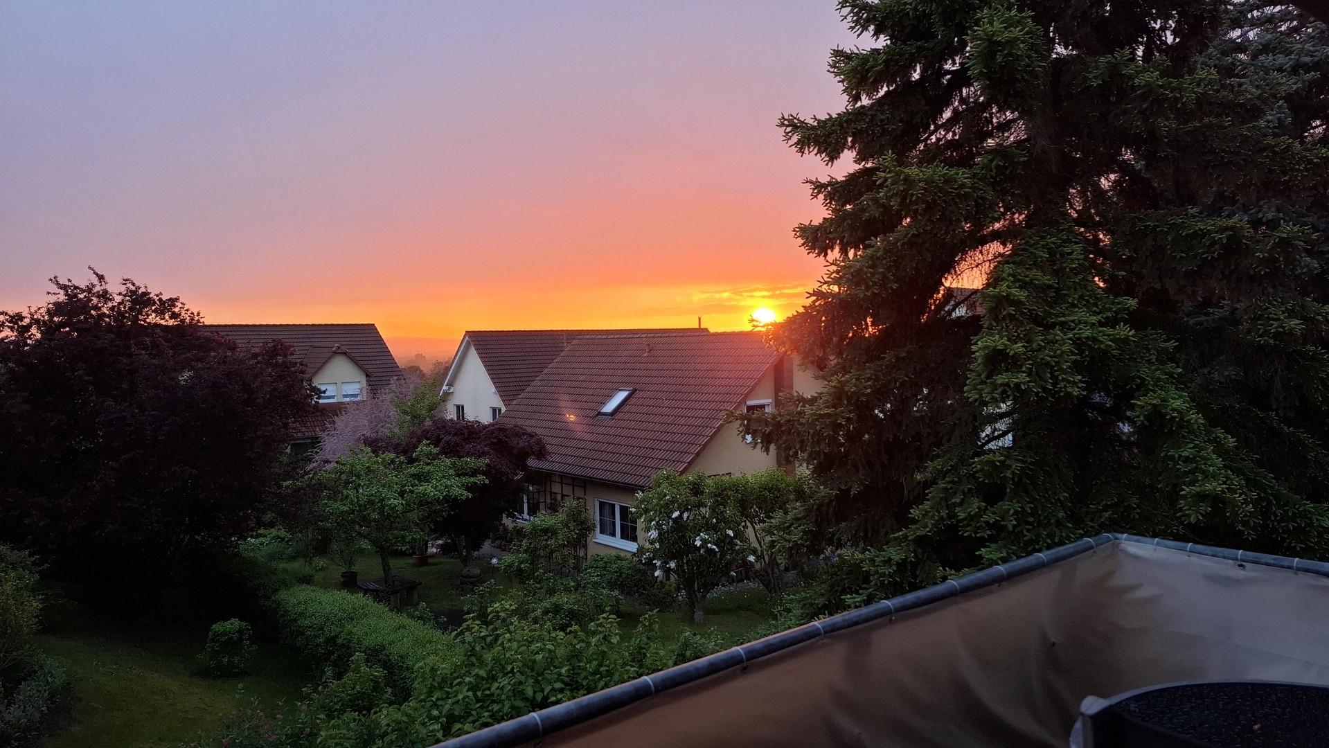Blick vom Balkon (15.05.2026)