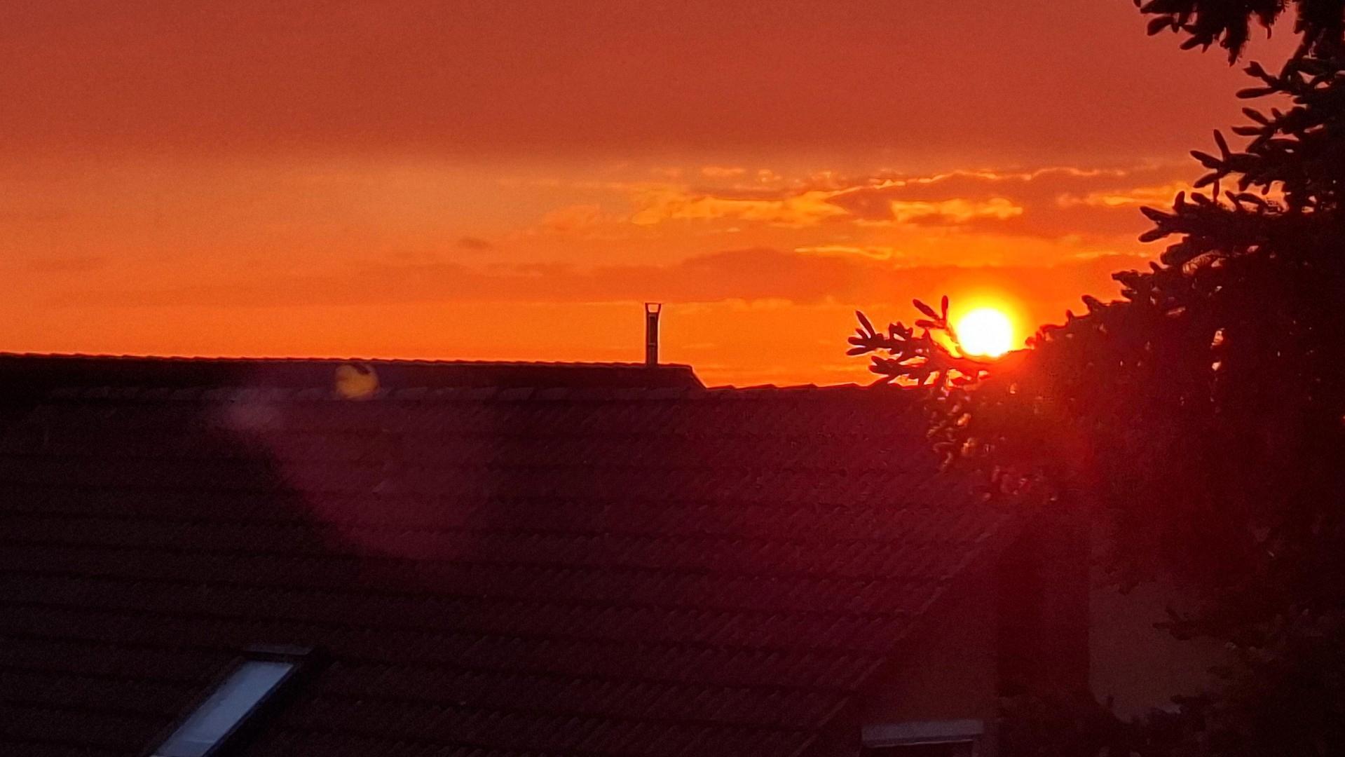 Blick vom Balkon (15.05.2026)