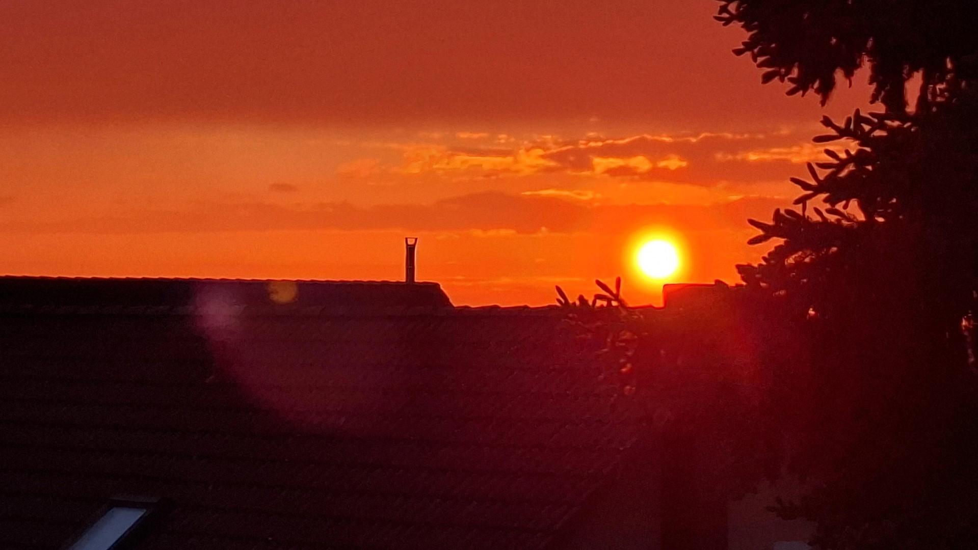 Blick vom Balkon (15.05.2026)