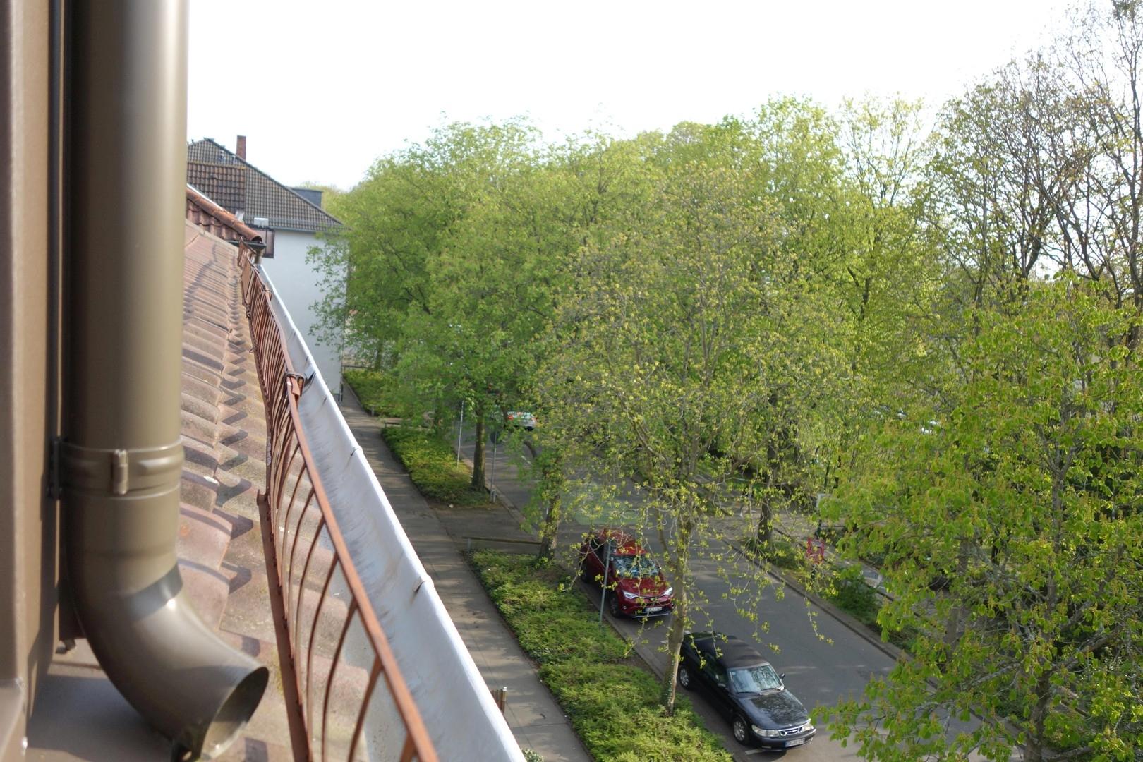 Blick auf die Allee nach Süden