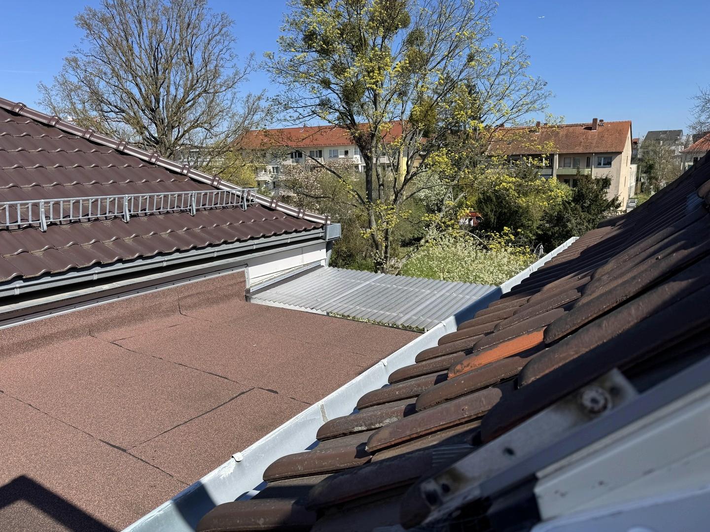 Östlicher Teil DachterrasseBli