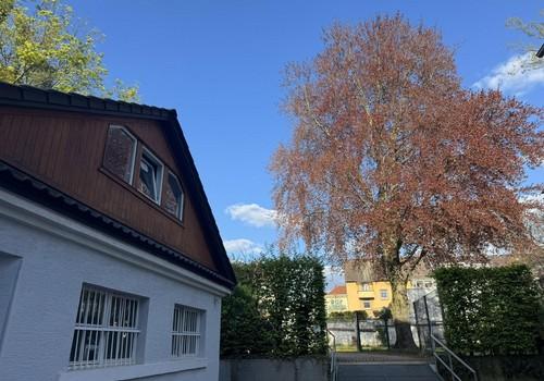 Abstellraum für Fahrräder