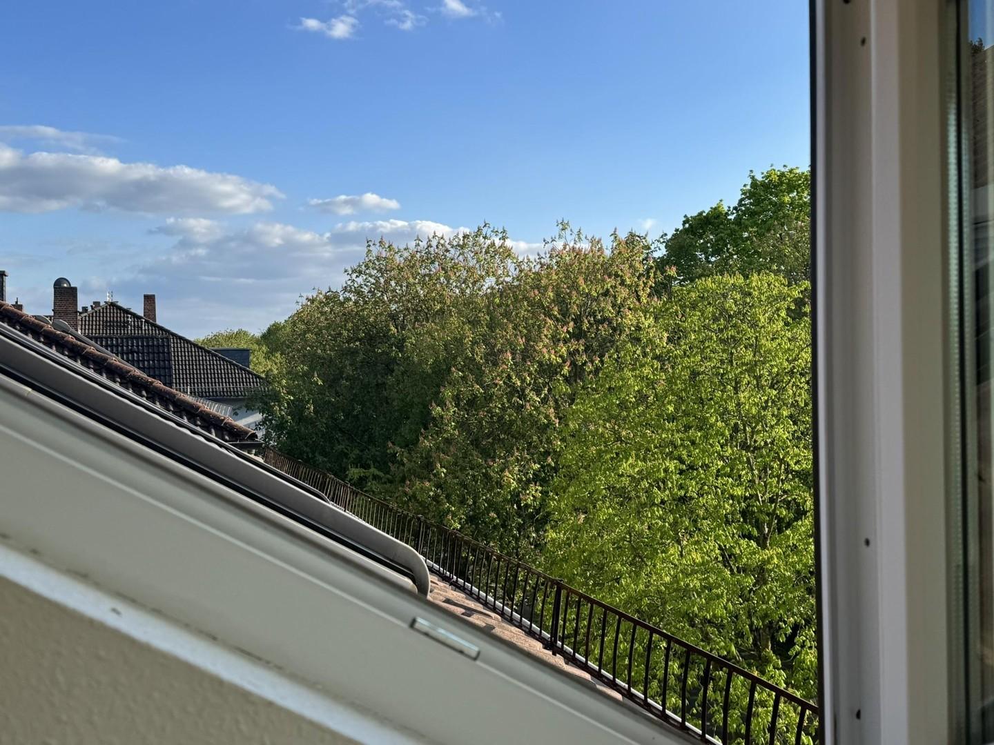 Blick nach Süden über Dächer