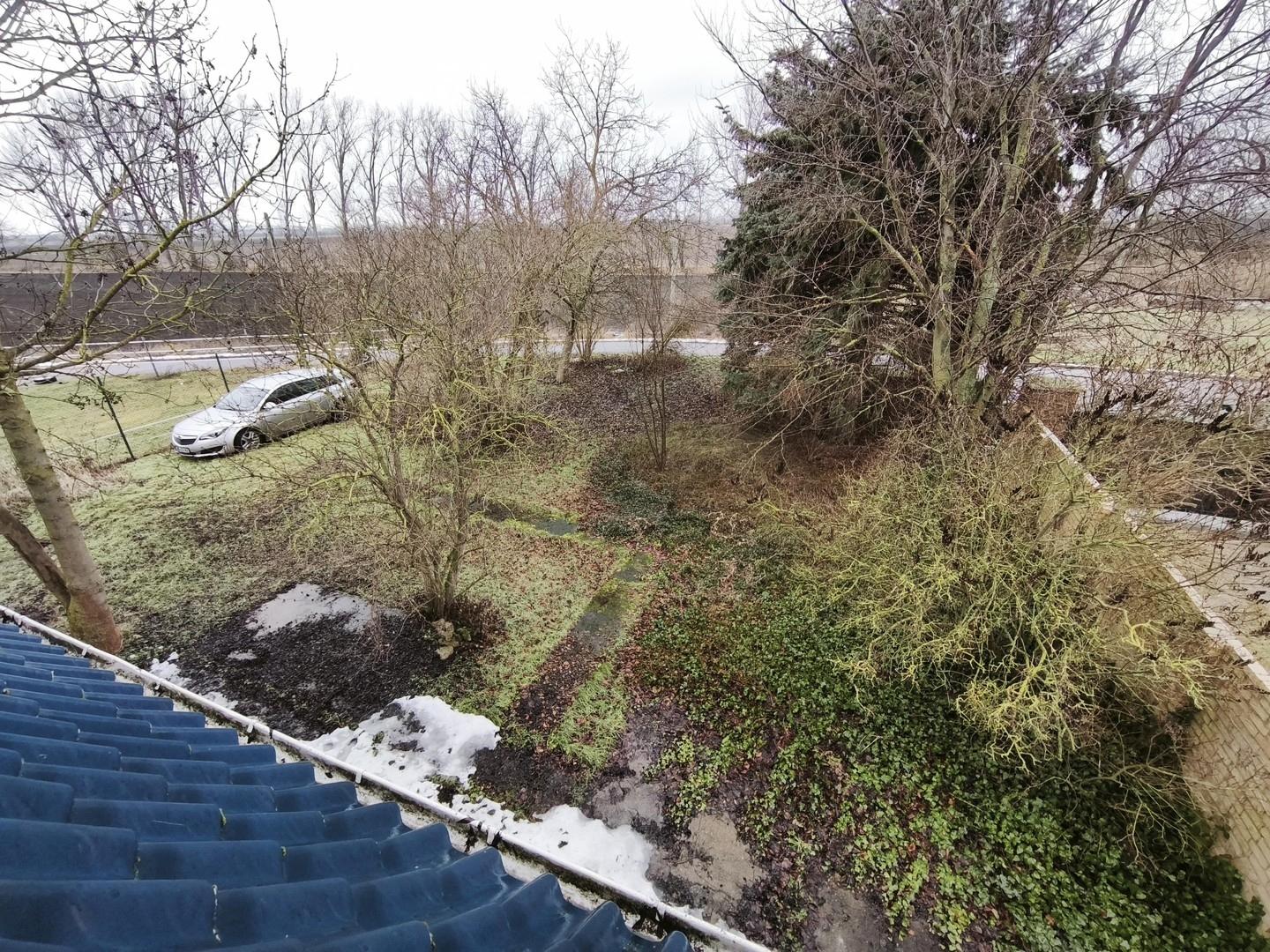 Garten zur Straße hin