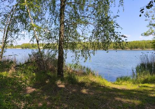 Zschornewitzer See