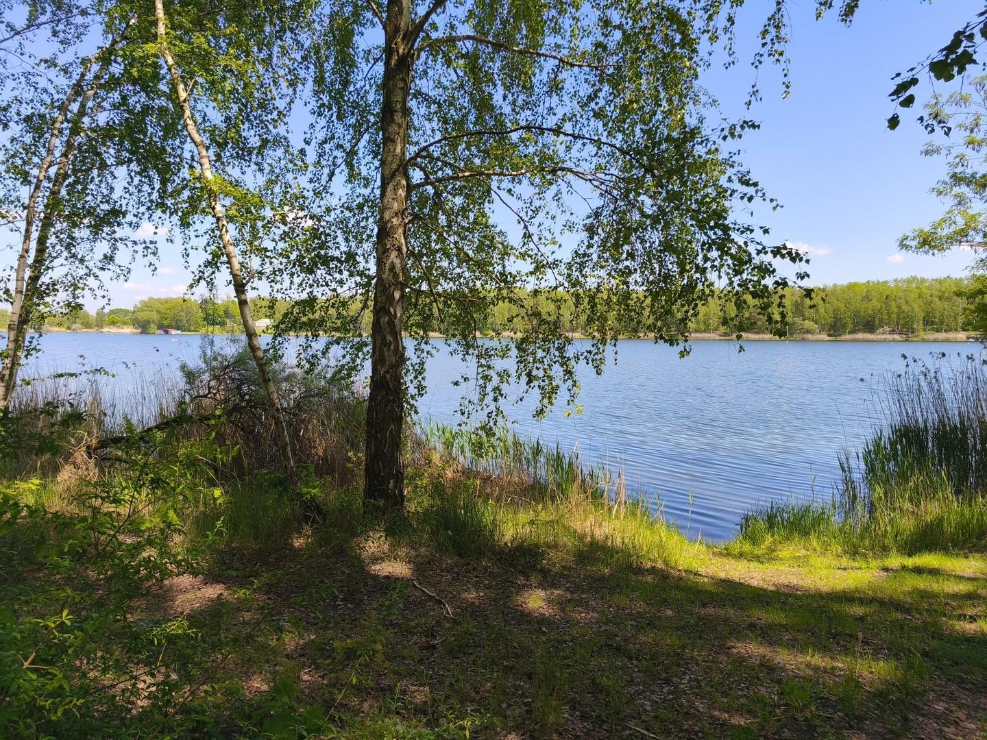 Zschornewitzer See