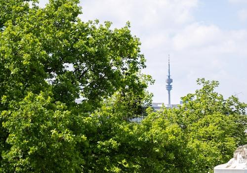 Ausblick Terrasse