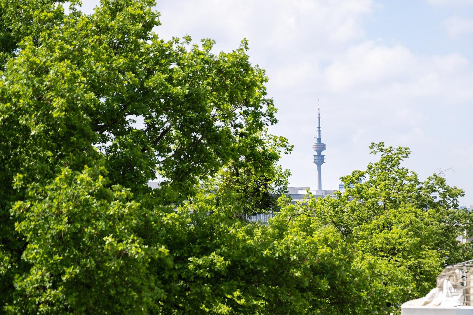 Ausblick Terrasse