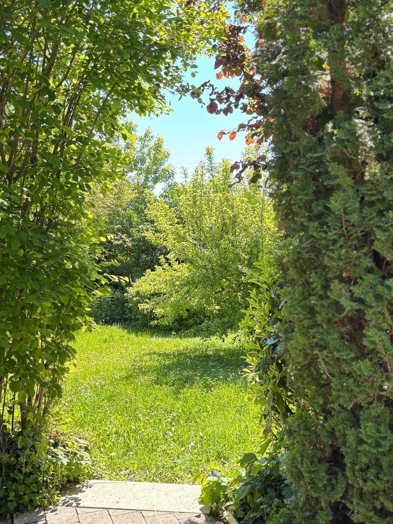 Eingewachsener Garten
