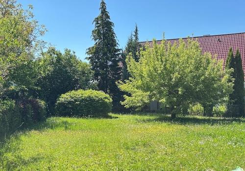 Große Gartenfläche