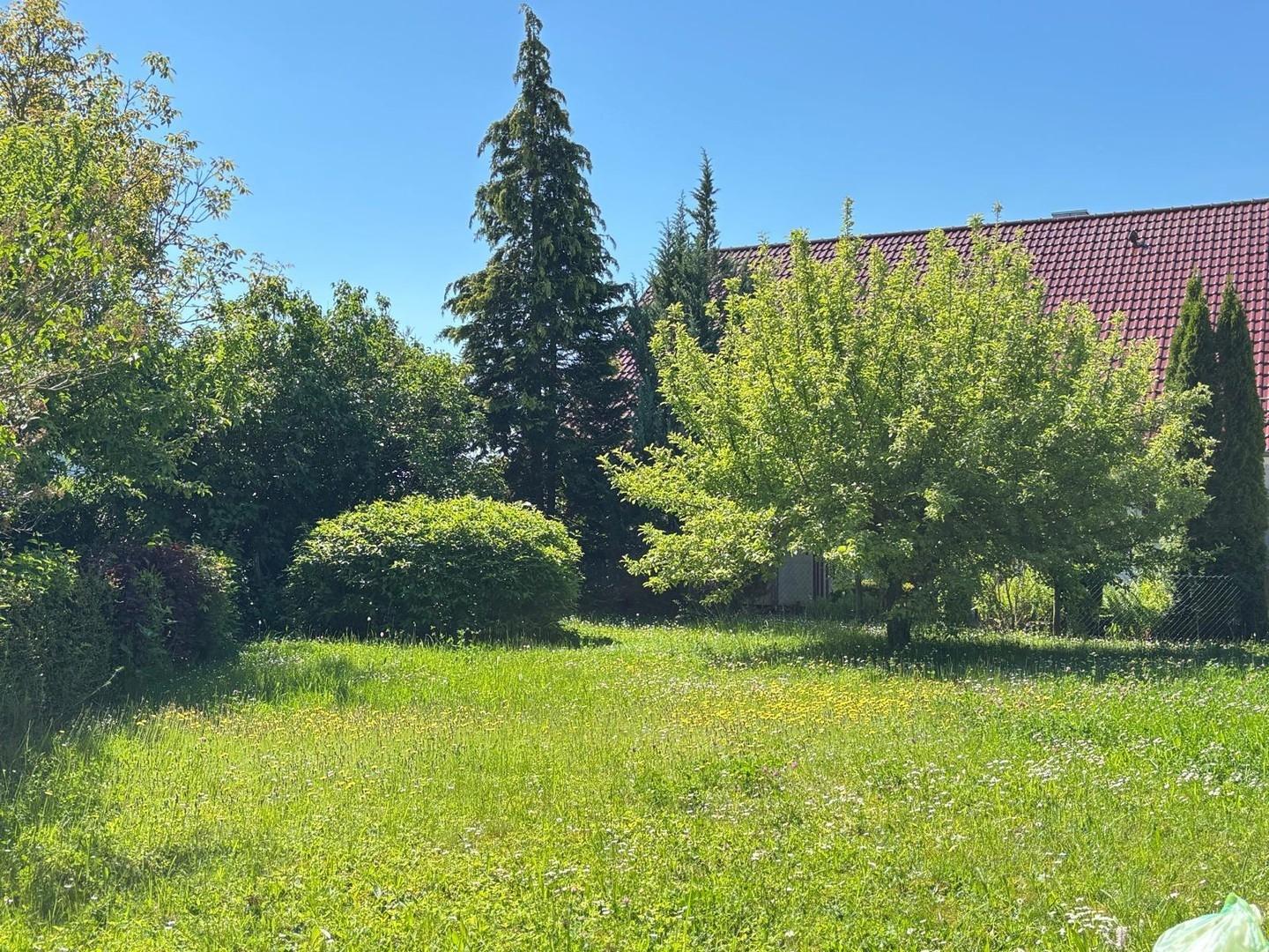 Große Gartenfläche