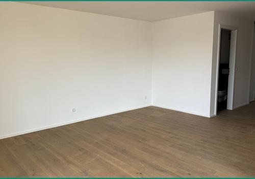 Lange Wand im Wohnzimer für Ihre Coutsch