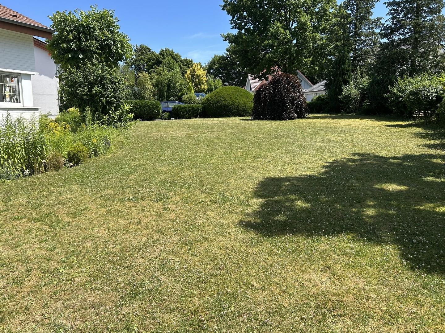 Garten im Sommer