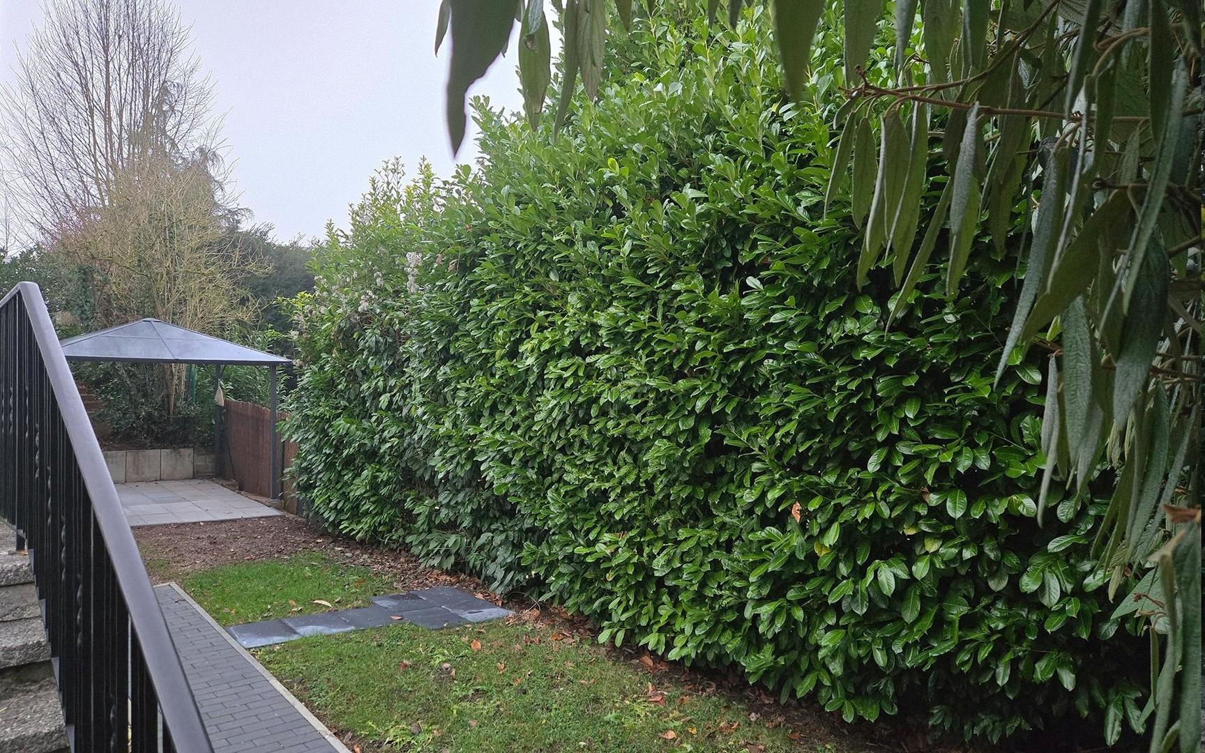 Garten Einliegerwohnung