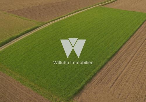 Refenrezbild Wiese
