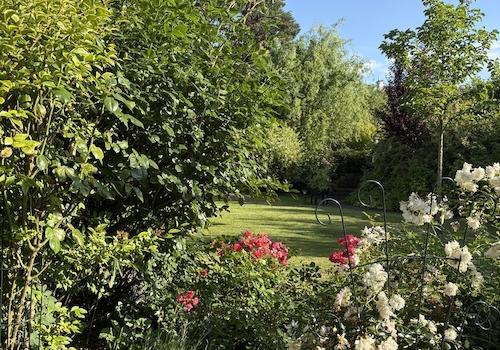 Gartenbepflanzung