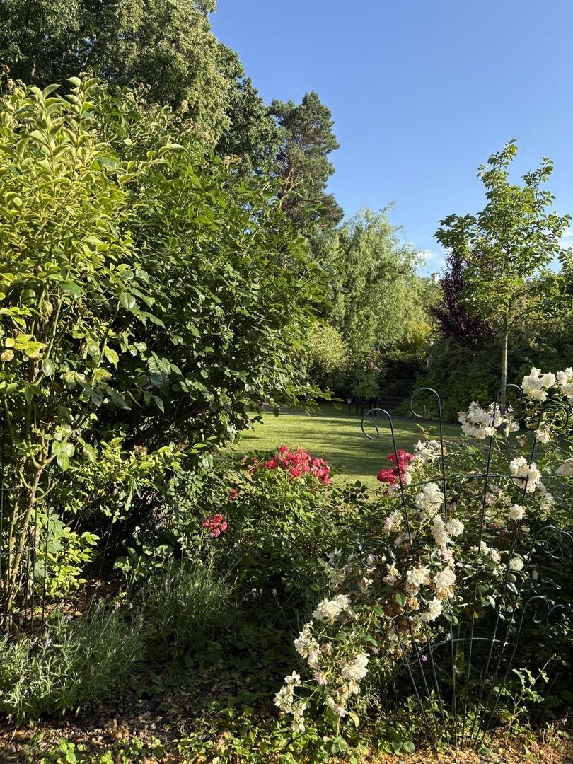 Gartenbepflanzung