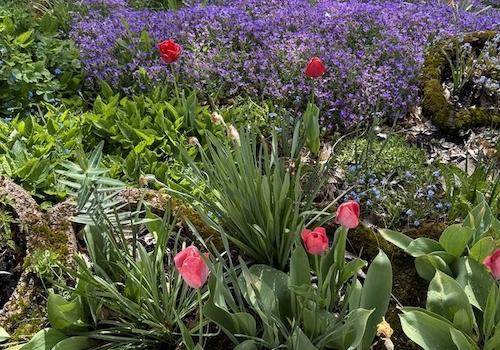 Blumenbeet