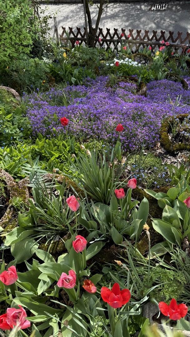 Blumenbeet