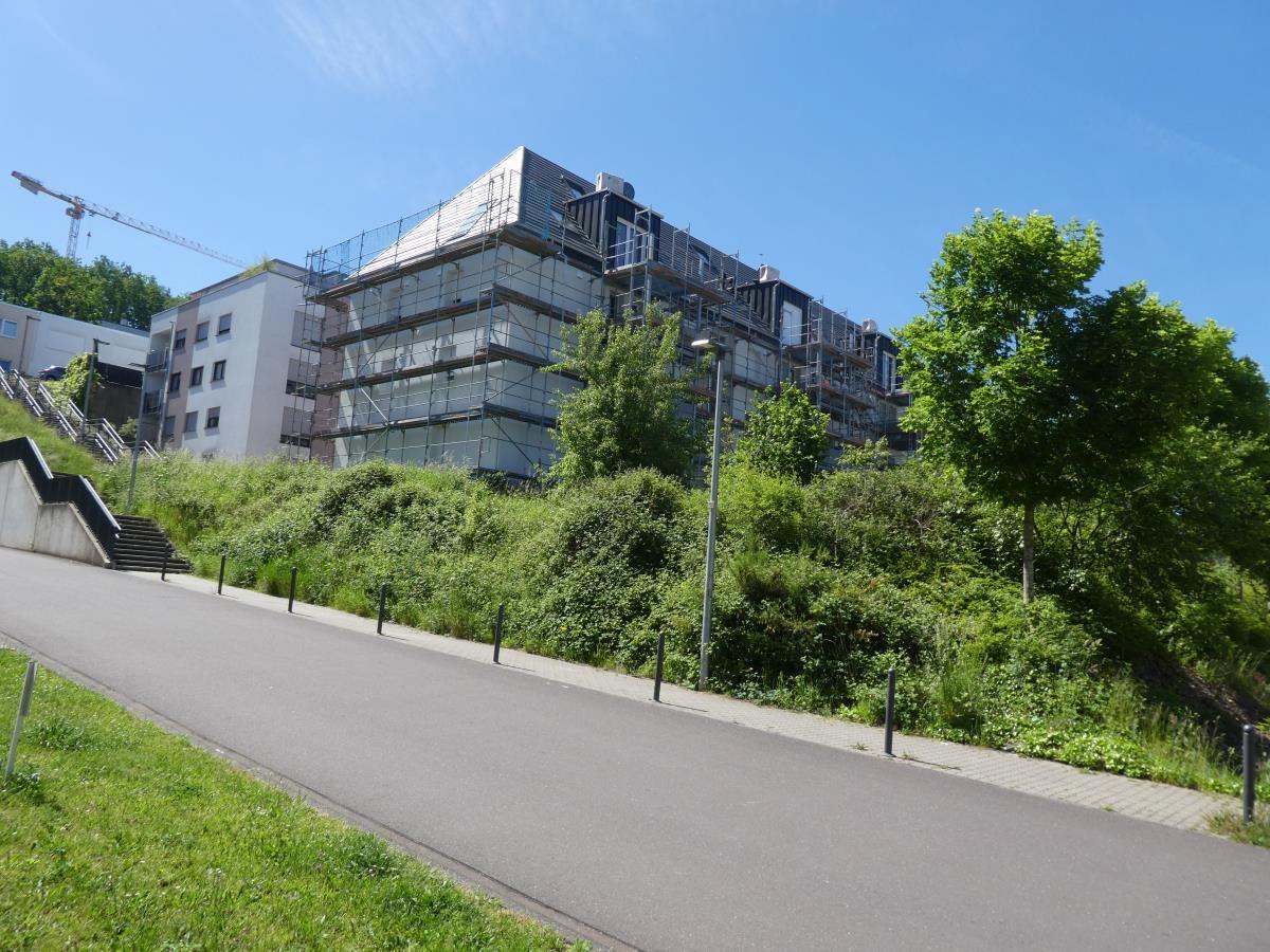 Ansicht 1