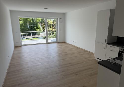 DG 3-Zi-WZI-Küche Blick Balk.