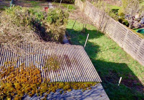 Garten_Ramsen