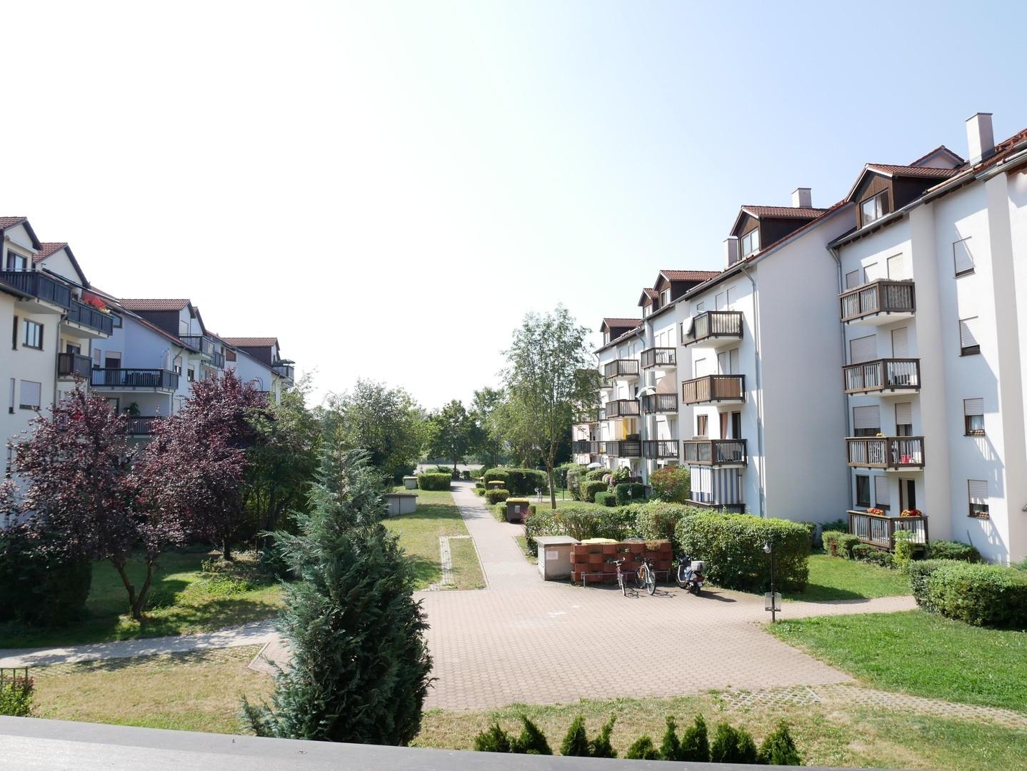 Blick ins Grüne (Sommer)