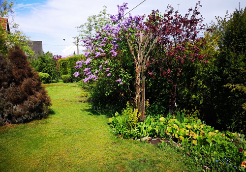 Garten