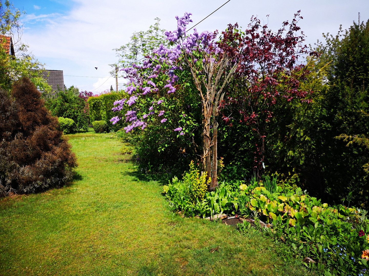 Garten