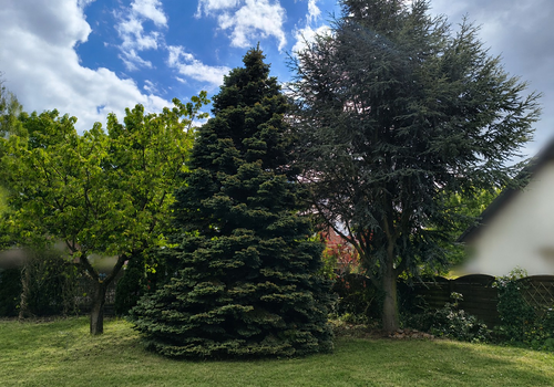 Garten 4