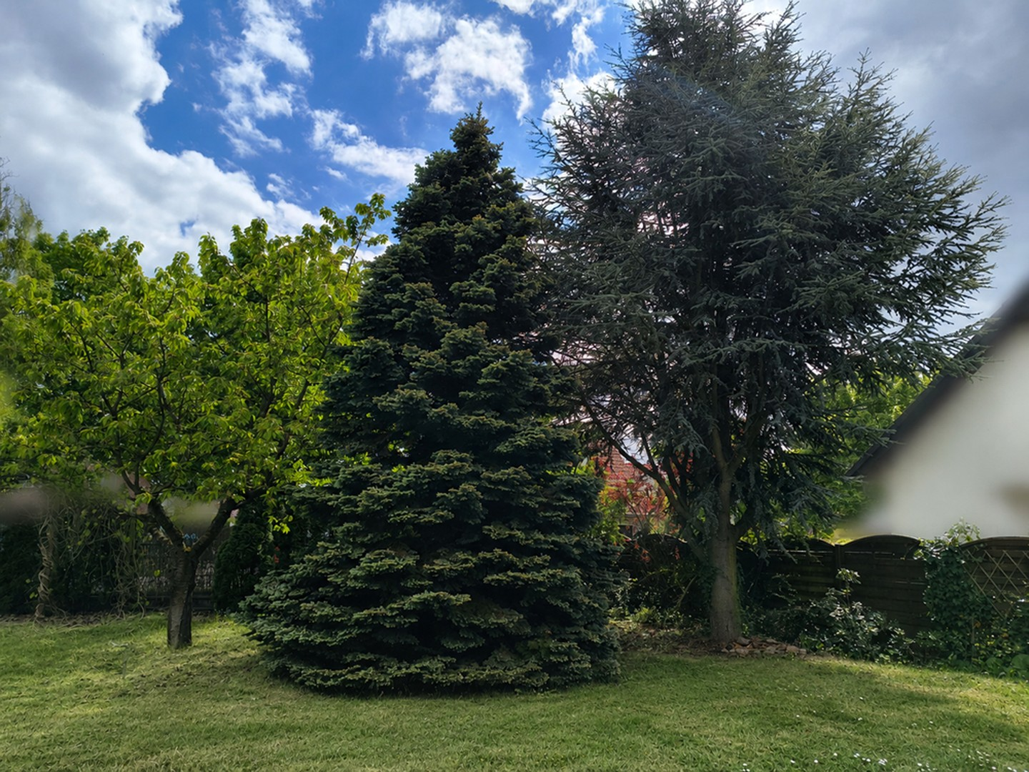 Garten 4