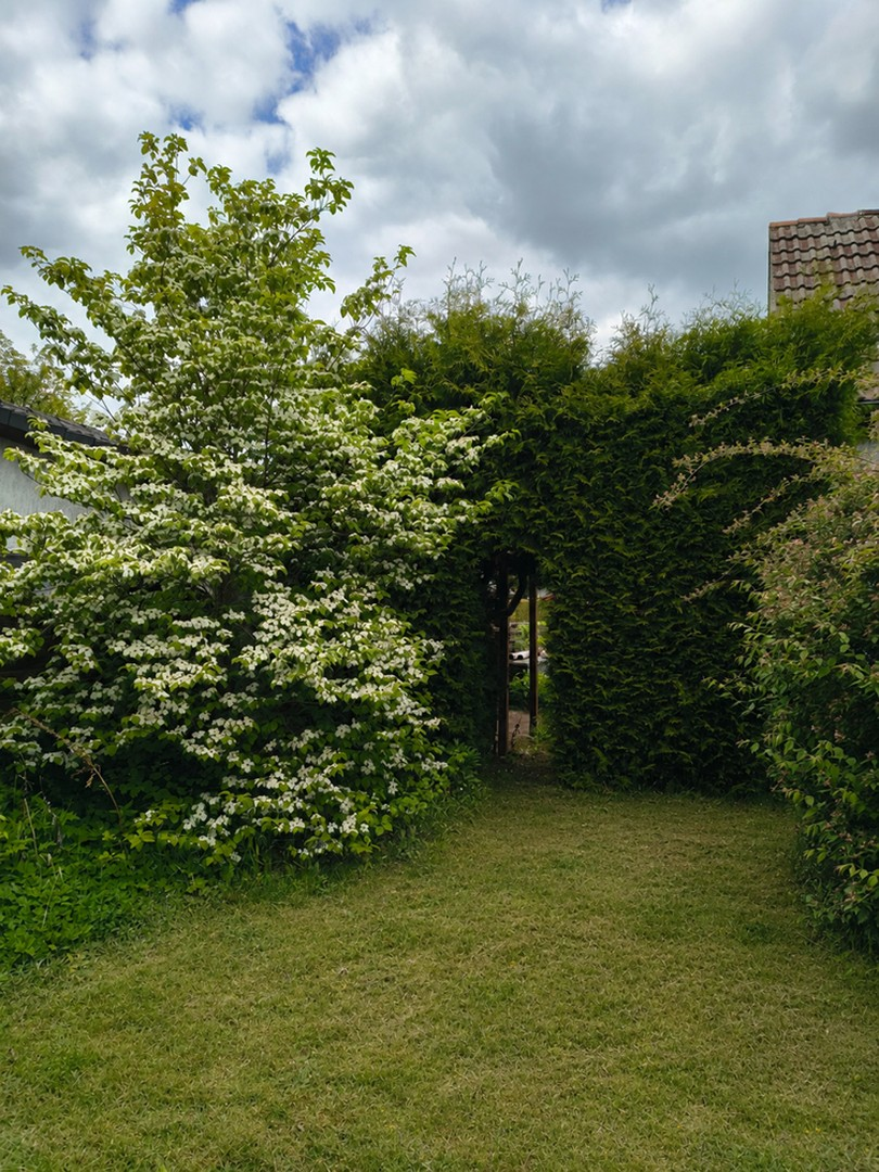 Garten 5