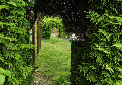 Garten 6