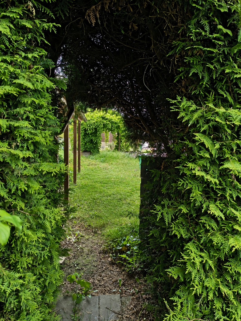 Garten 6