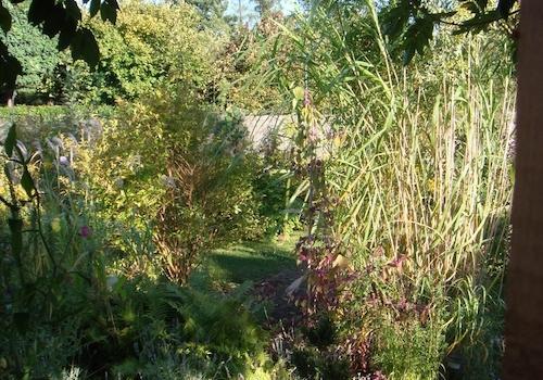 Garten 7