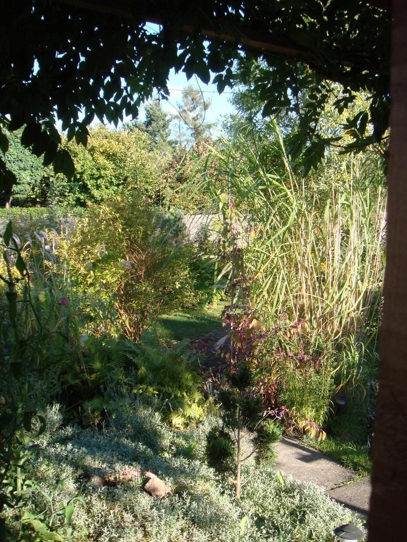 Garten 7