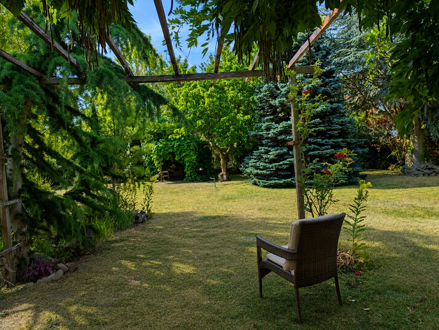 Blick von der Terrasse